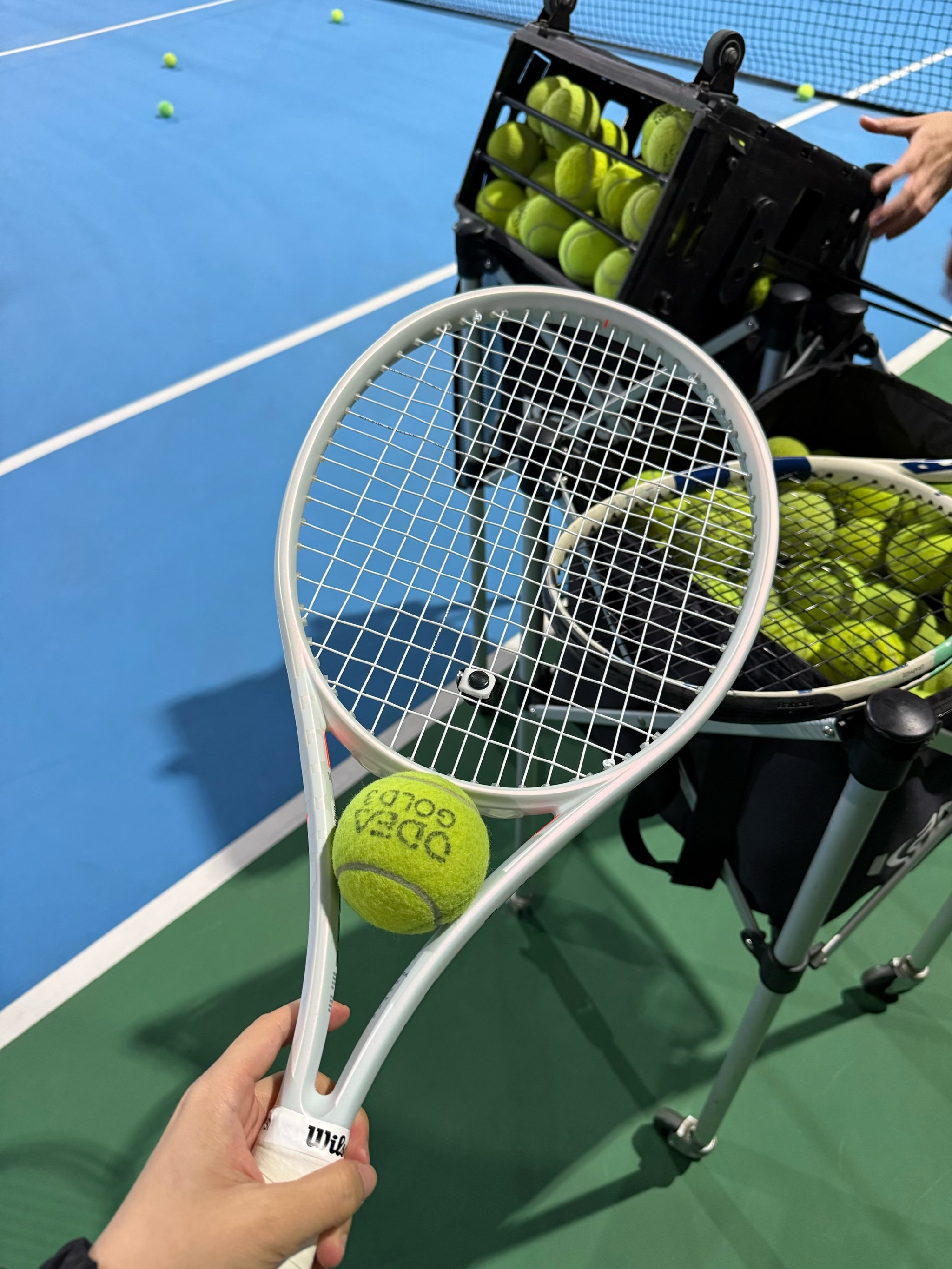 这一球不仅 这一球不仅