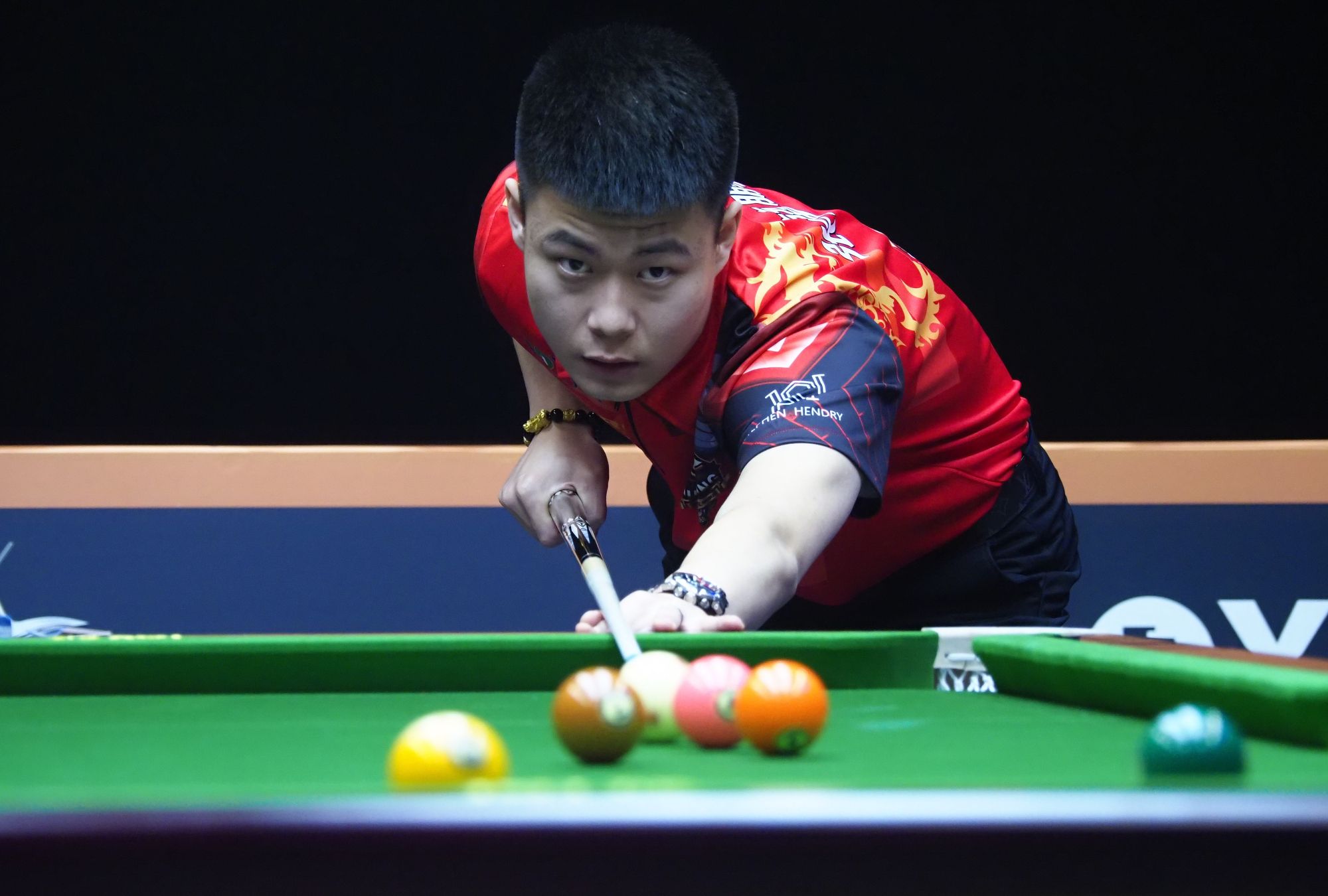 公共安全和 公共安全和